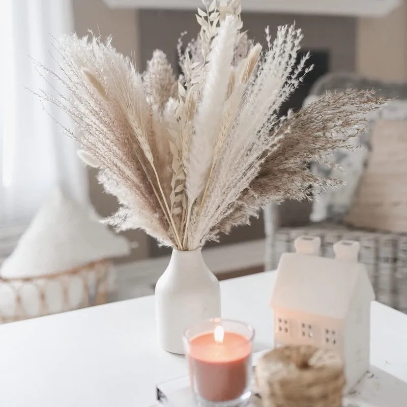 Natural Pampas Grass Dried Flower Decor