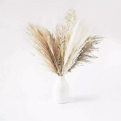 Natural Pampas Grass Dried Flower Decor