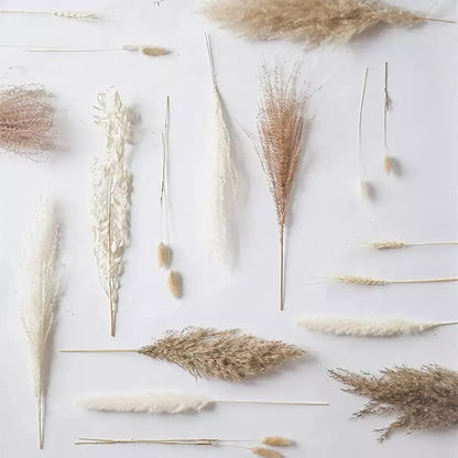 Natural Pampas Grass Dried Flower Decor